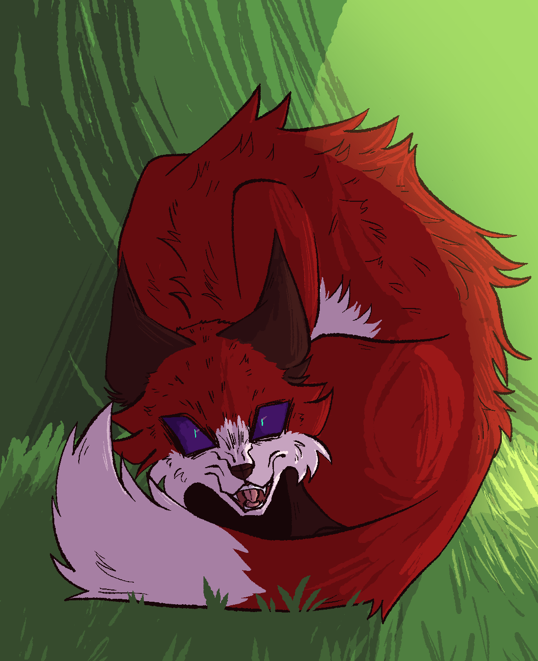 A digital drawing of a red fox snarling at the viewer. She is curled around herself.
